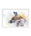 Poster Raposa - Animais