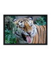 Poster Tigre - Animais