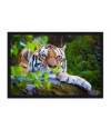 Poster Tigre - Animais