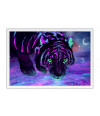 Poster Tigre - Animais