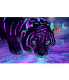 Poster Tigre - Animais
