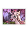Poster Tigre - Animais