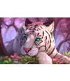 Poster Tigre - Animais