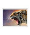 Poster Tigre - Animais