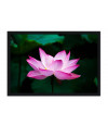 Poster - Flores