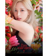 Poster Twice – K-Pop
