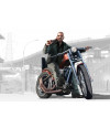 Poster Grand Theft Auto Iv Lost And Damned