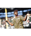 Poster Tyler The Creator - Rap - Hip Hop