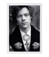 Poster Harry Styles - Ator - Música - Artistas Pop
