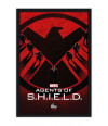 Poster Agentes Of Shield
