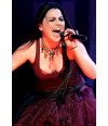 Poster Evanescence - Amy Lee - Bandas de Rock