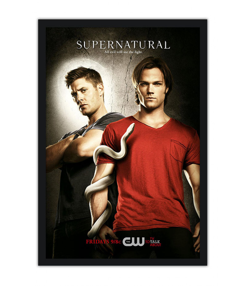 Poster Series Supernatural 6° Temporada