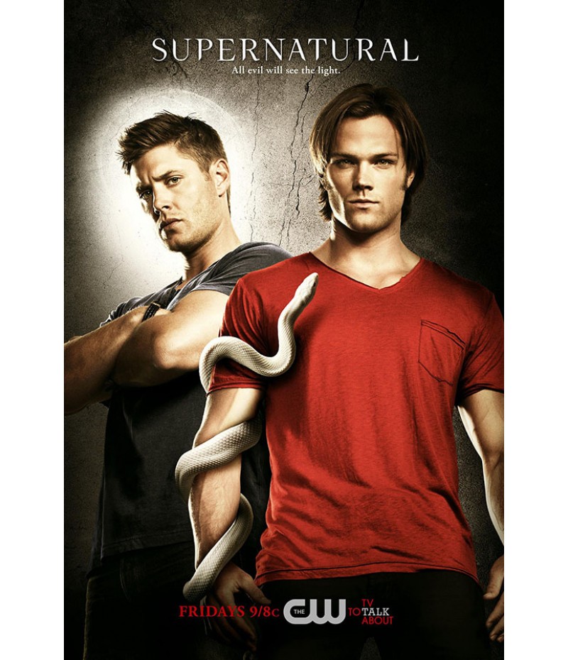 Poster Series Supernatural 6° Temporada