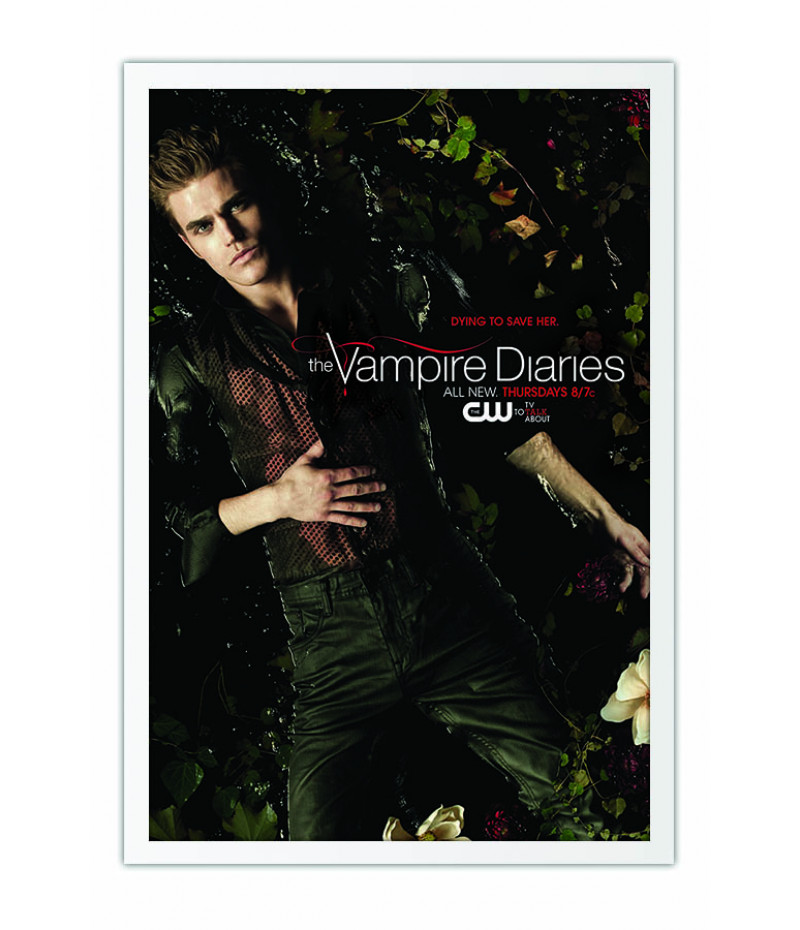 Poster Vampire Diaries 2° Temporada