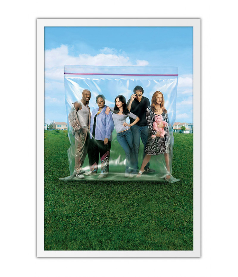 Poster Weeds 1° Temporada