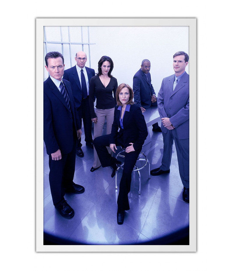Poster X Files - Arquivo X 9° Temporada