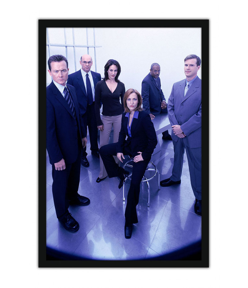Poster X Files - Arquivo X 9° Temporada