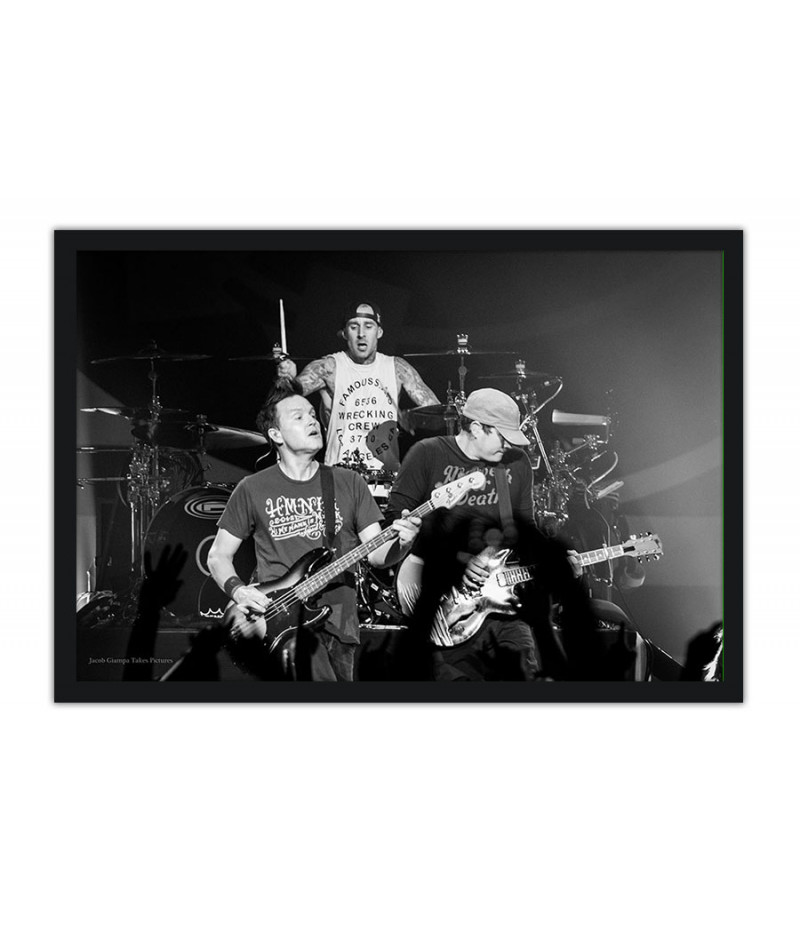 Poster Blink 192 - Bandas de Rock