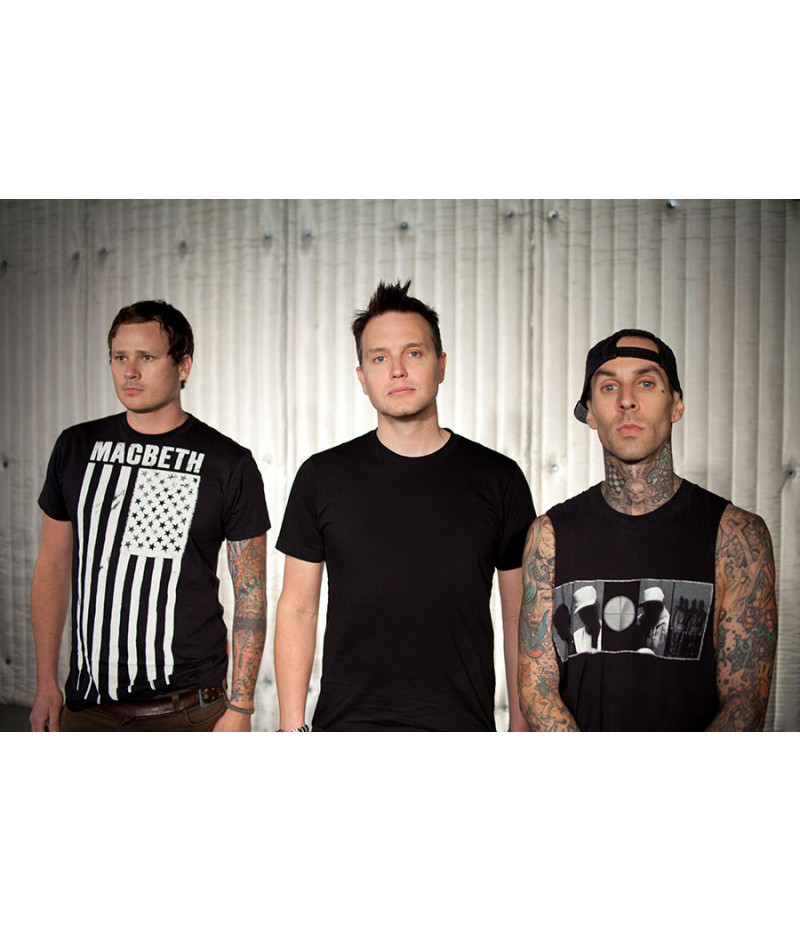 Poster Blink 192 - Bandas de Rock
