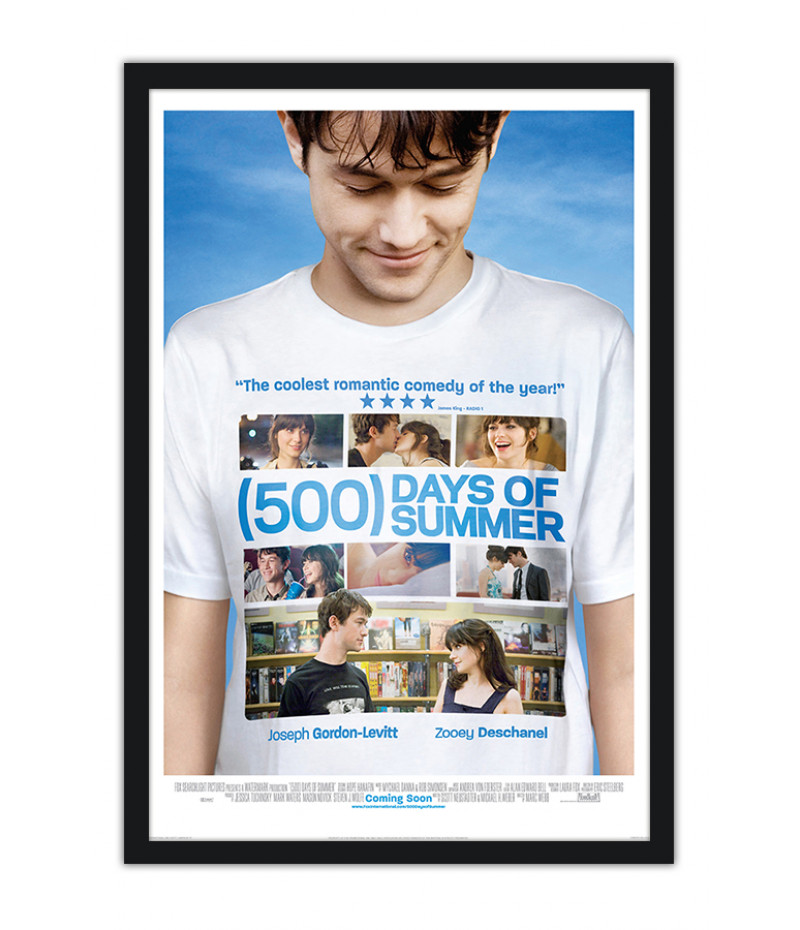 Poster 500 Dias Com Ela - Joseph Godon-Levitt
