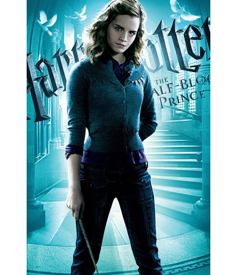 Poster Harry Potter E O Enigma Do Principe Hermione