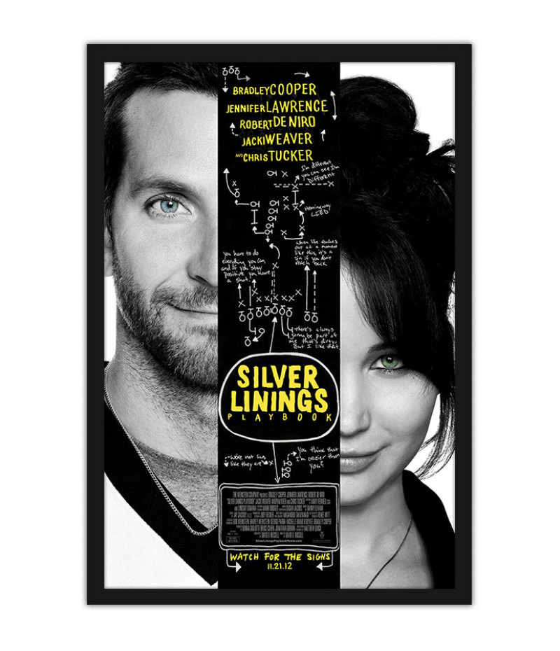Poster O Lado Bom da Vida