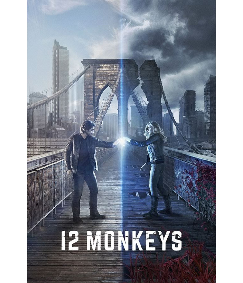 Poster Seriado2 Monkeys Macacos