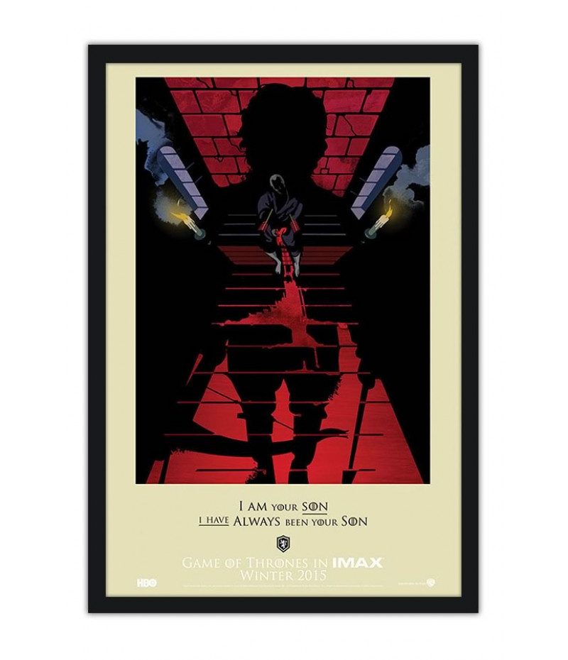 Poster Game Of Thrones Got