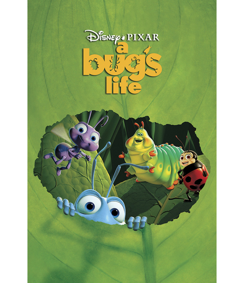Poster Vida De Inseto