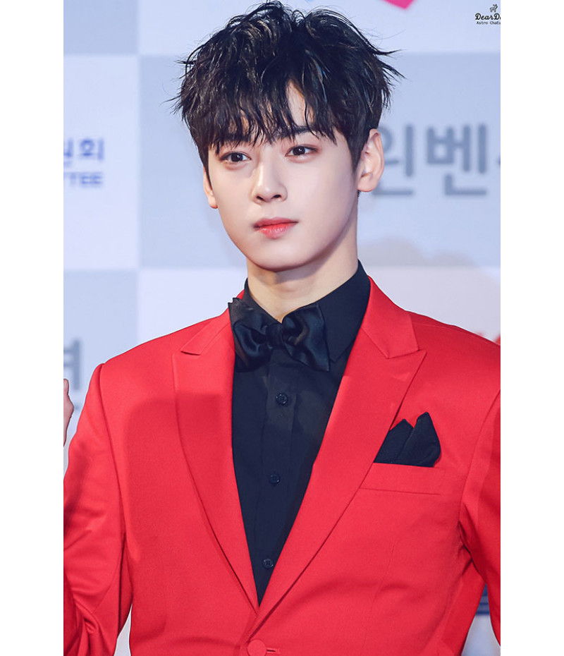 Poster Cha Eun-Woo - Bts - Cantor