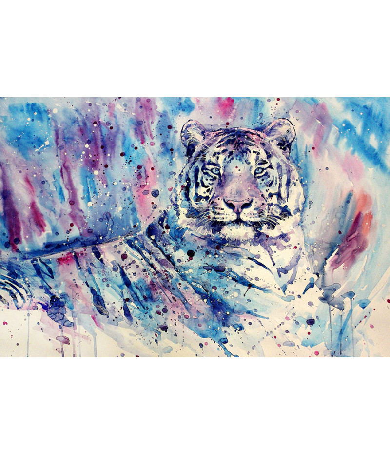 Poster Tigre  - Coleção Colors - Animais