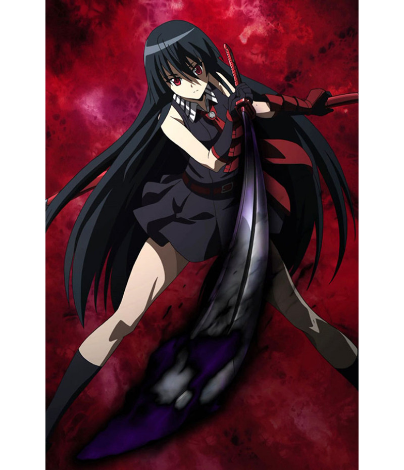 Poster Akame Ga Kill - Animes