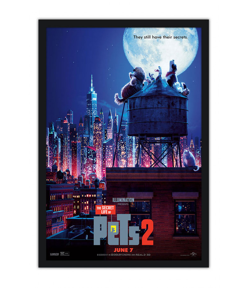 Poster Pets - Vida Secreta Dos Bichos - Filmes - Infantis