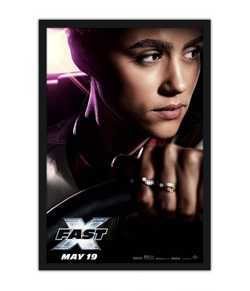Poster Fast X - Velozes E Furiosos 10 - Filmes