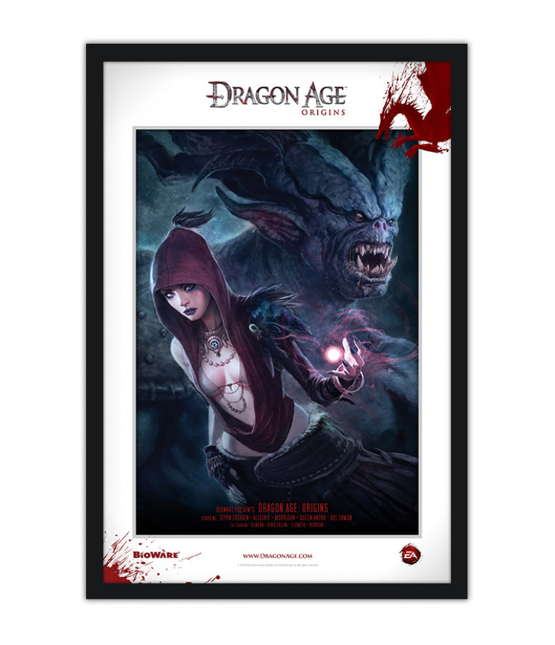 Dragon Age Origins