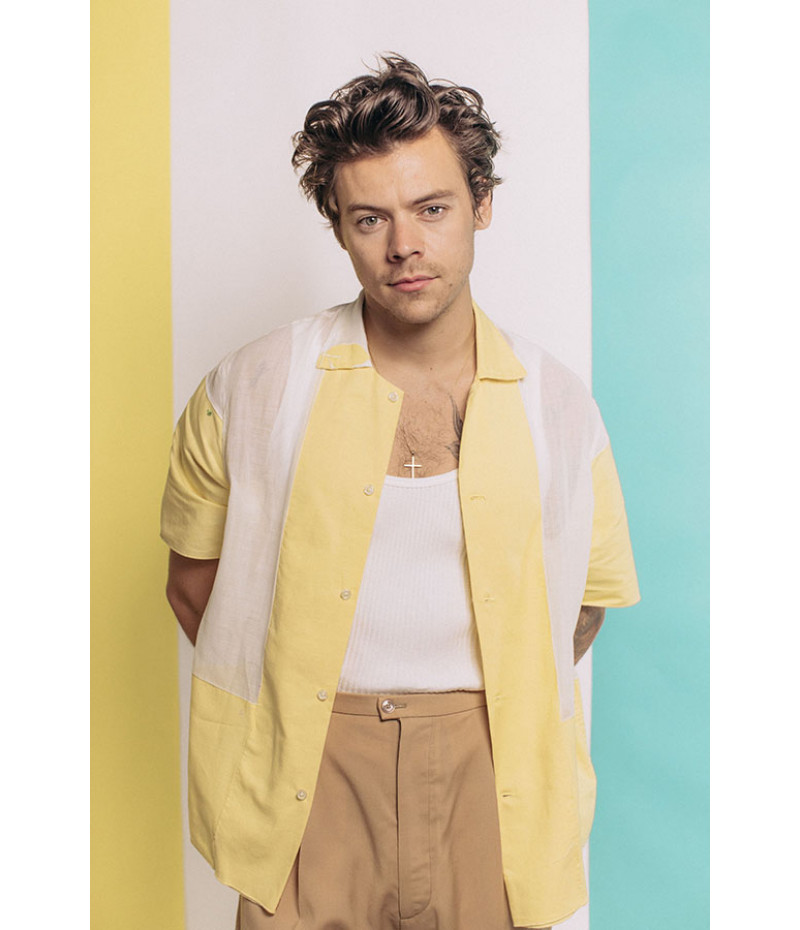 Poster Harry Styles - Former One Direction - Pop
