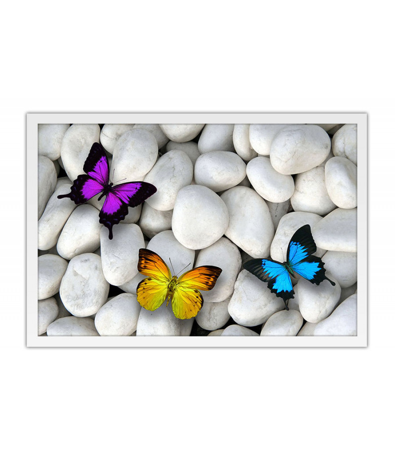 Poster Borboleta - Animais