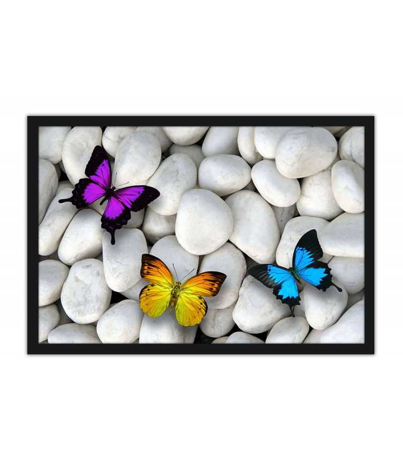 Poster Borboleta - Animais