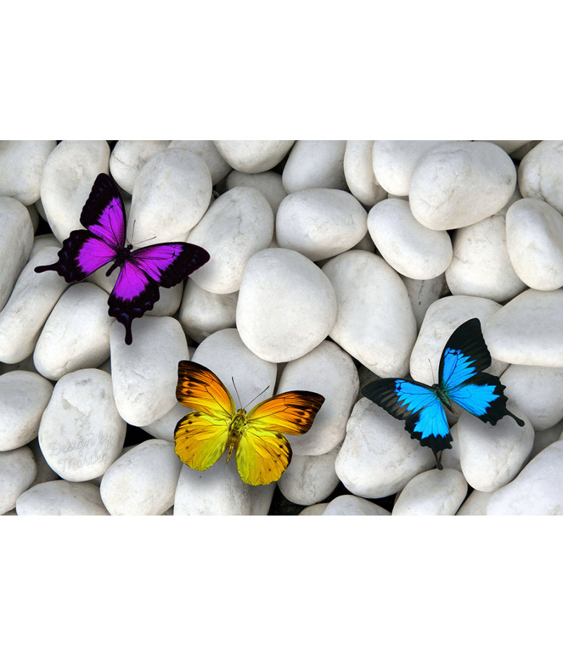 Poster Borboleta - Animais