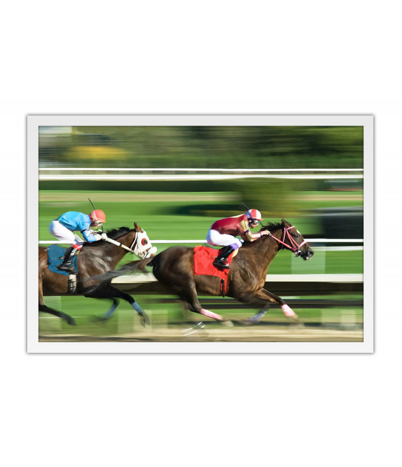 Poster Cavalo - Animais