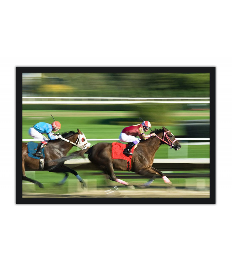 Poster Cavalo - Animais