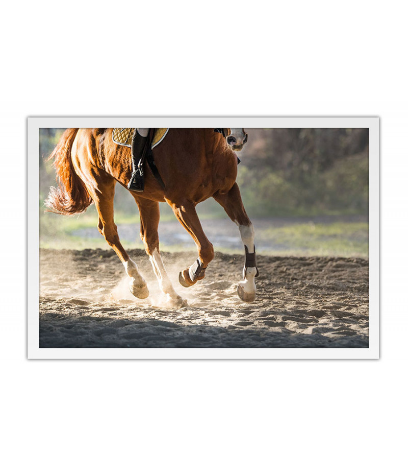 Poster Cavalo - Animais