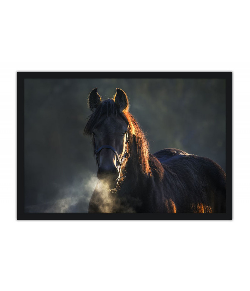 Poster Cavalo - Animais