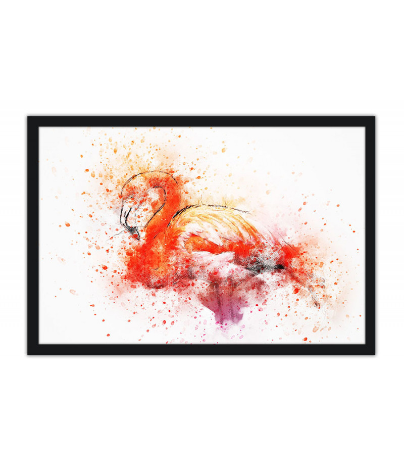 Poster Flamingo - Animais