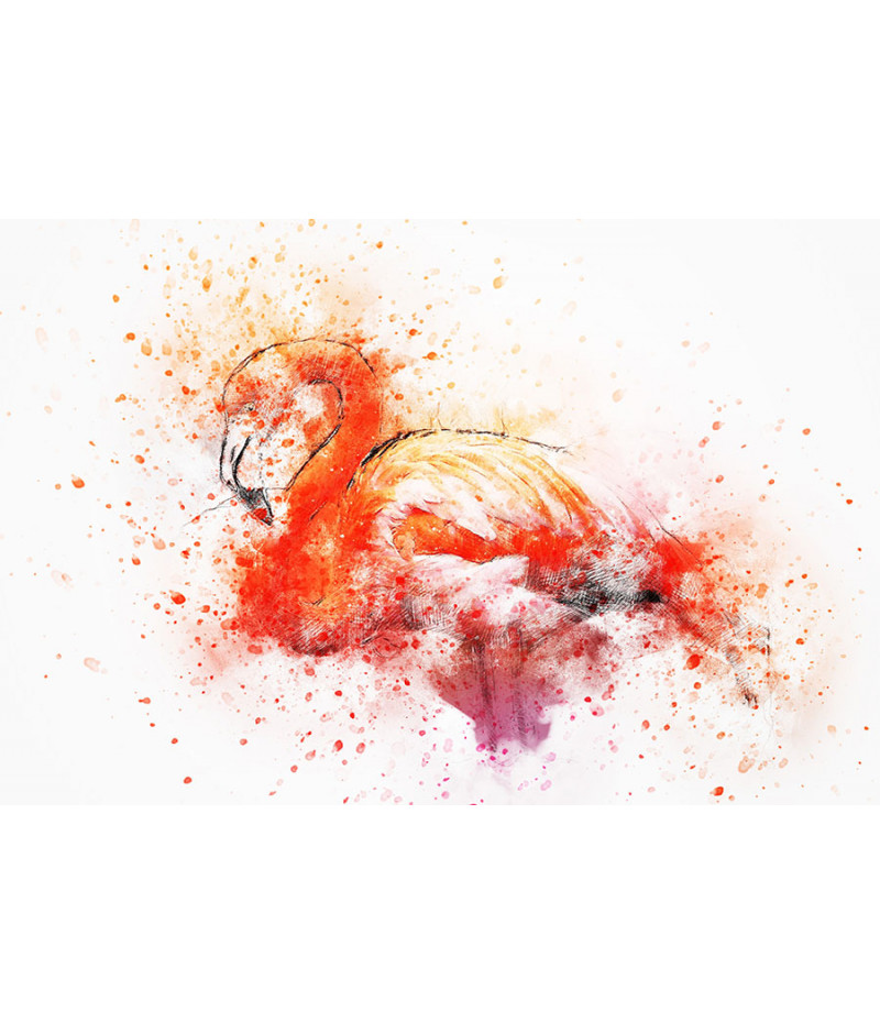 Poster Flamingo - Animais