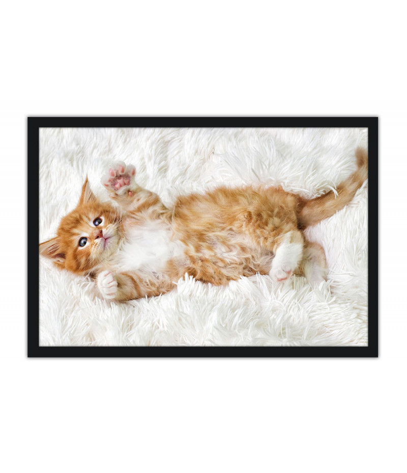 Poster Gato - Animais