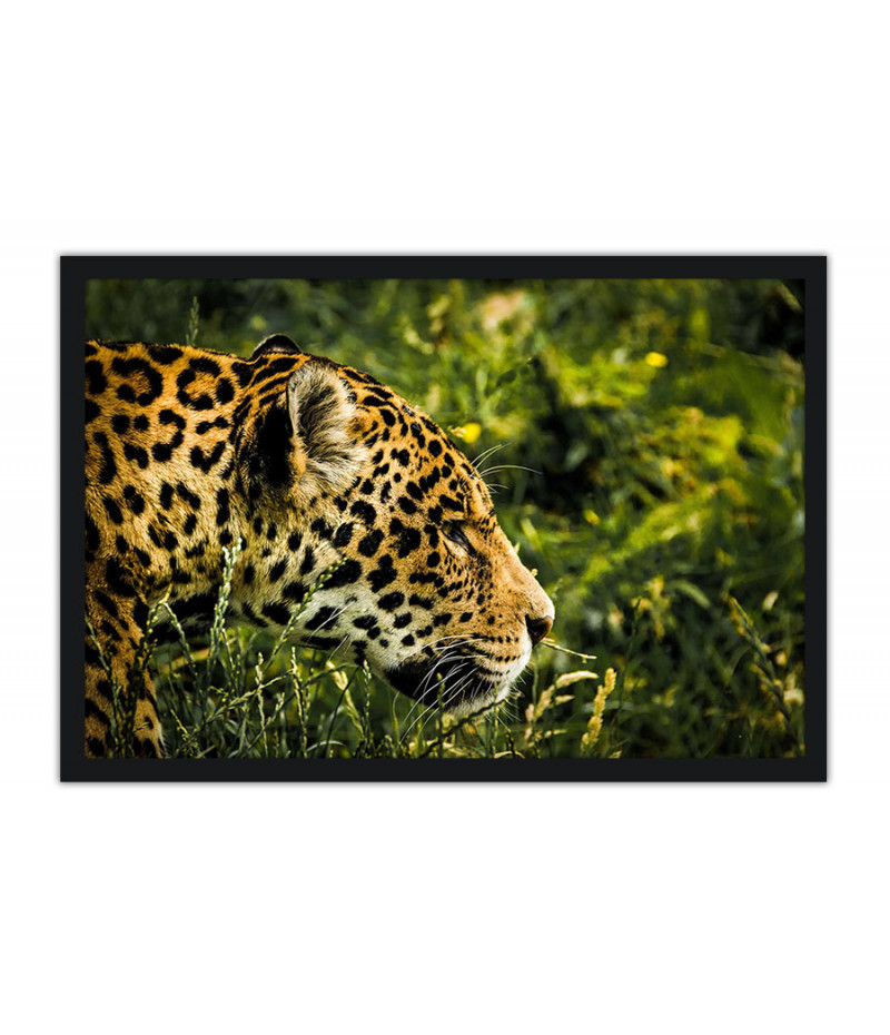 Poster Onça - Animais