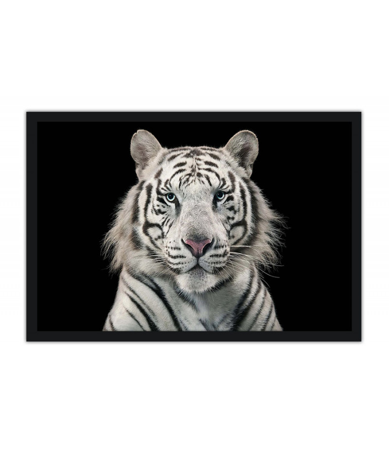 Poster Tigre - Animais