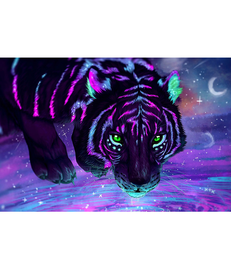 Poster Tigre - Animais
