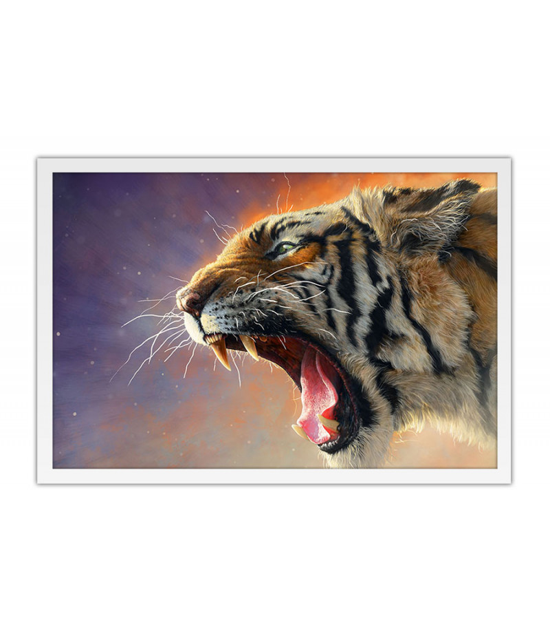 Poster Tigre - Animais
